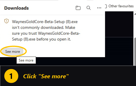 Step 1: click See more on the download warning